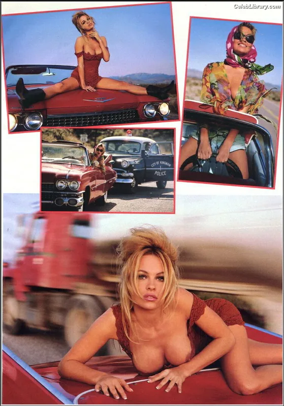Pamela Anderson photo 9 of 1098