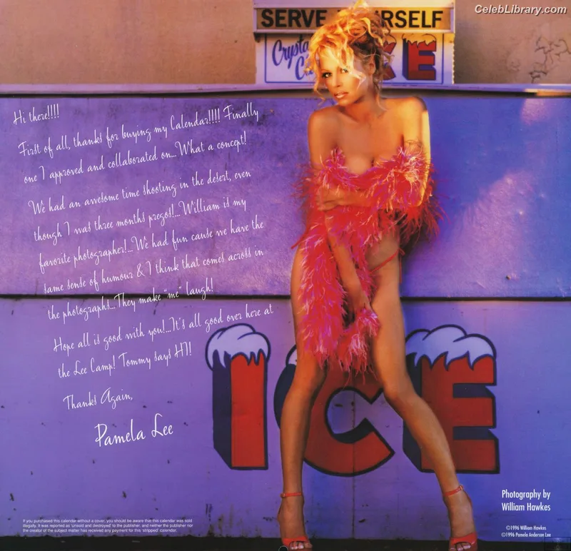 Pamela Anderson photo 13 of 1098