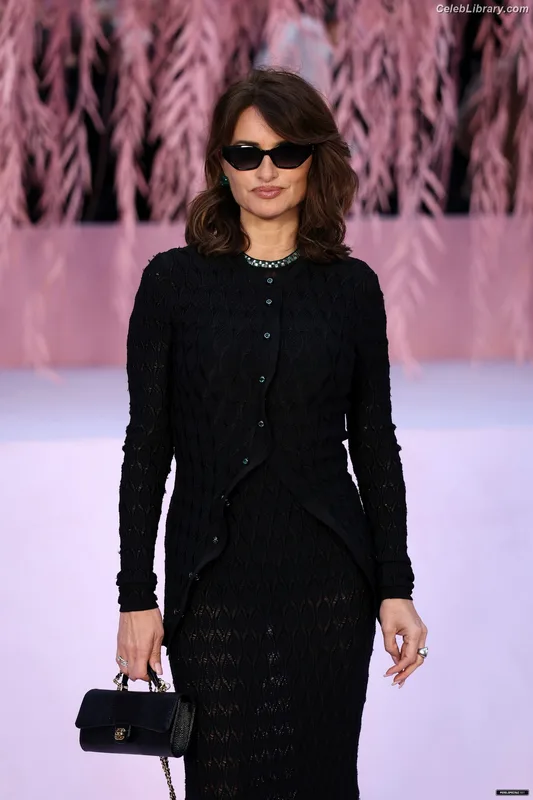 Penelope Cruz photo 17 of 337