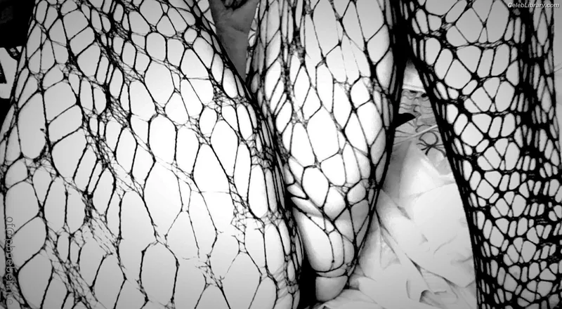 Phoebe Price photo 20 of 1615