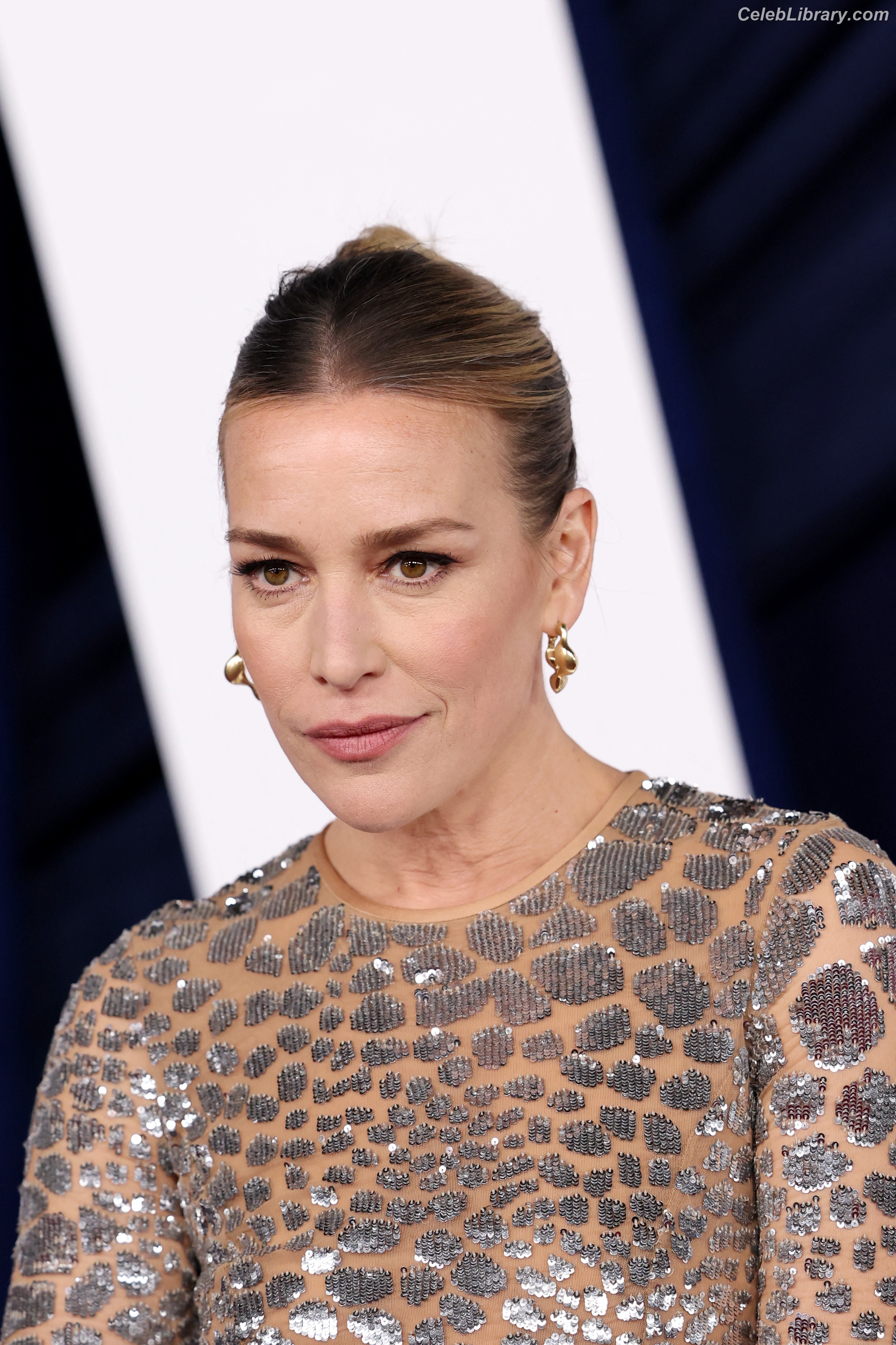 Piper Perabo photo 5 of 35