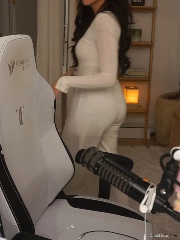 Pokimane photo 1 of 3752