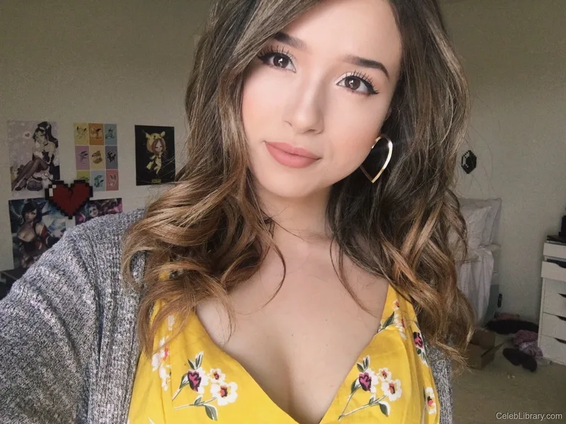 Pokimane photo 14 of 3752