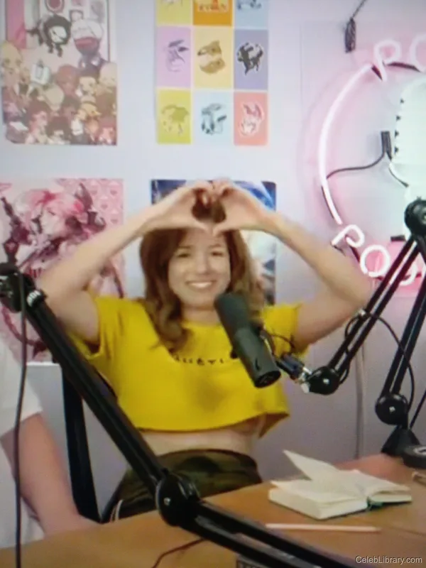Pokimane photo 1 of 3752