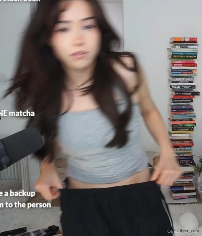 Pokimane photo 3 of 3752