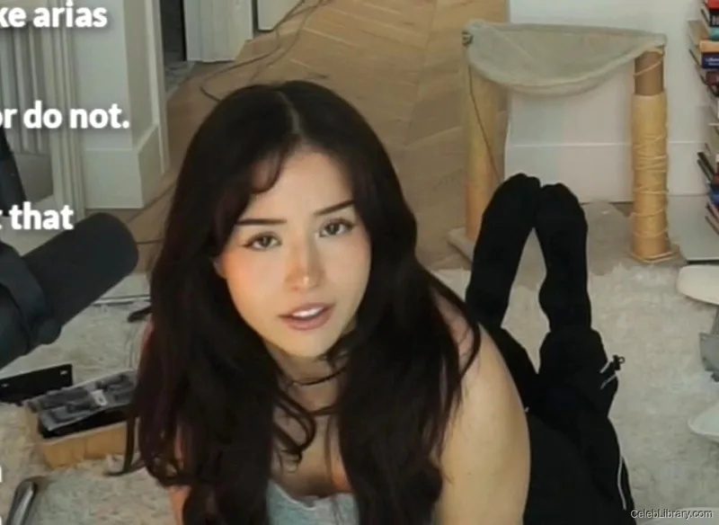 Pokimane photo 14 of 3752