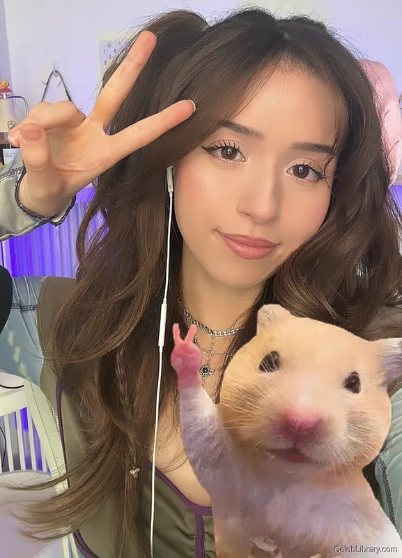 Pokimane photo 23 of 3752