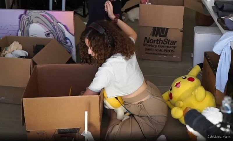 Pokimane photo 24 of 3752