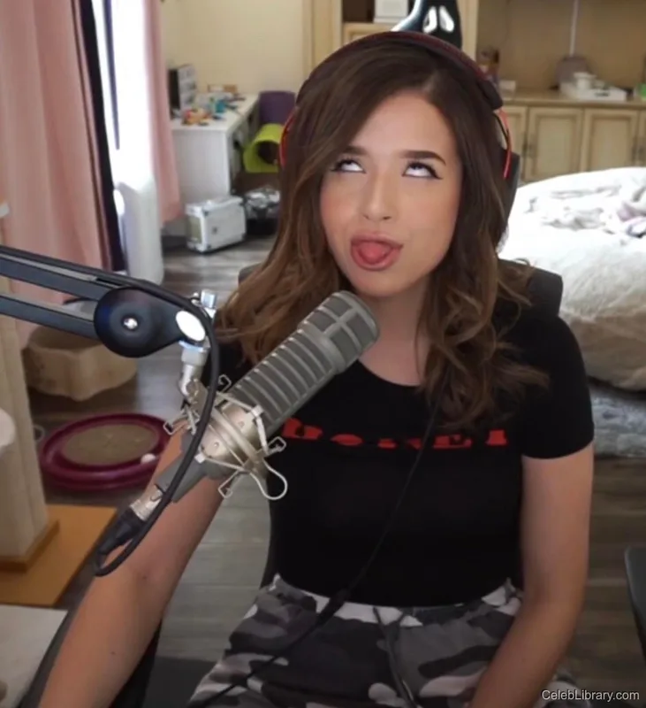 Pokimane photo 14 of 3752