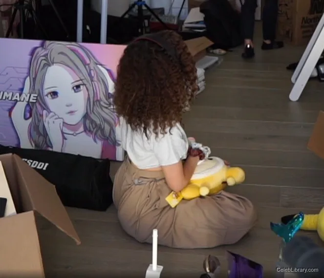 Pokimane photo 20 of 3752