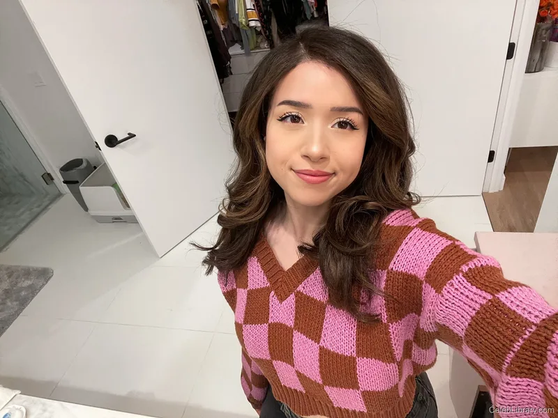 Pokimane photo 18 of 3752