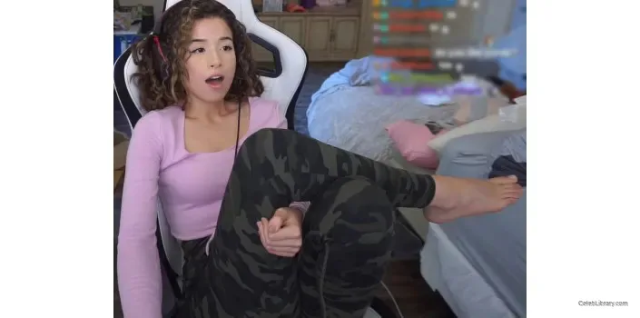 Pokimane photo 20 of 3752