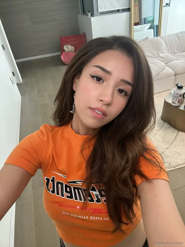 Pokimane photo 21 of 3752