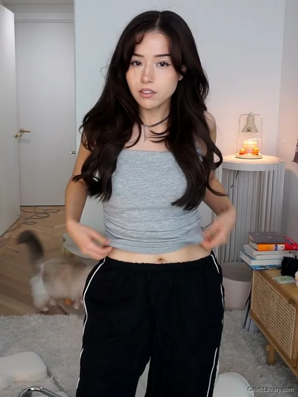 Pokimane photo 2 of 3752