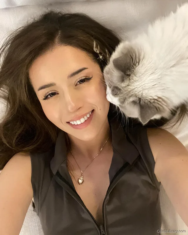 Pokimane photo 1 of 3752