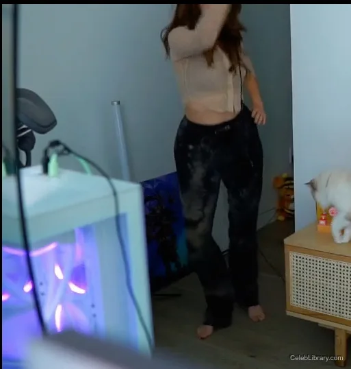 Pokimane photo 4 of 3752