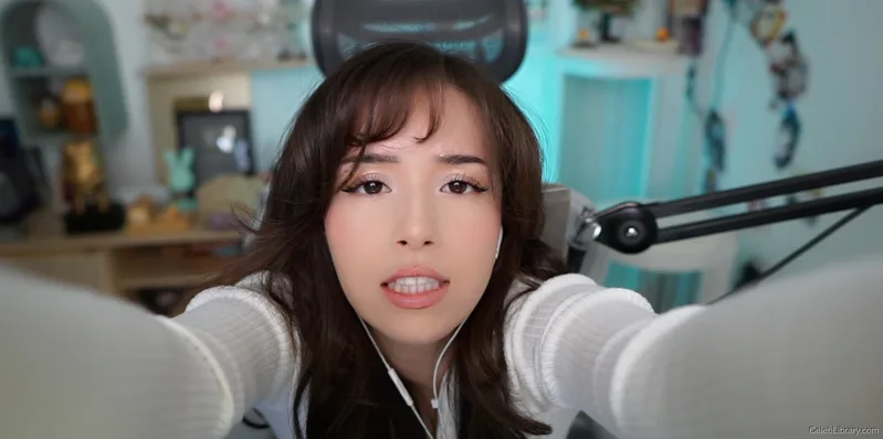Pokimane photo 20 of 3752
