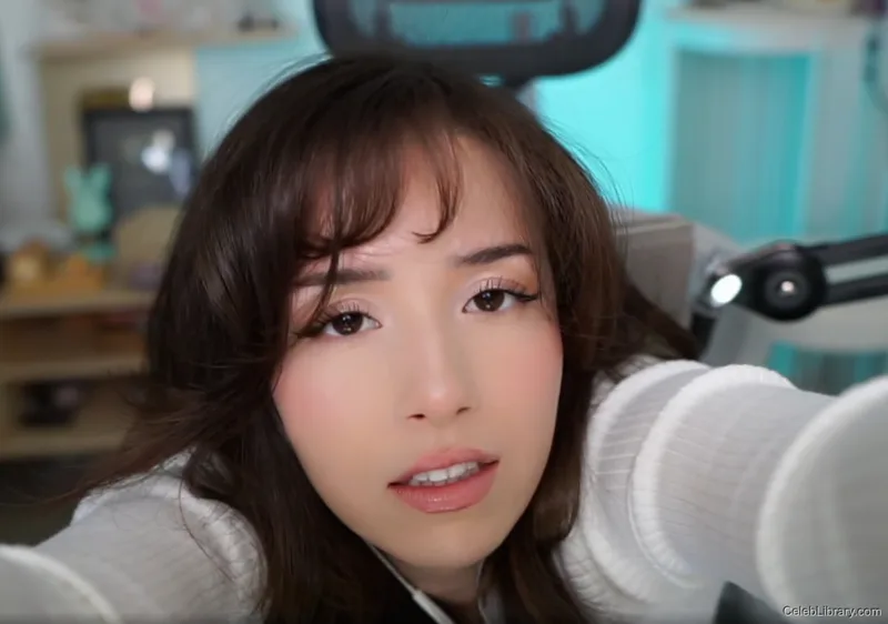 Pokimane photo 22 of 3752