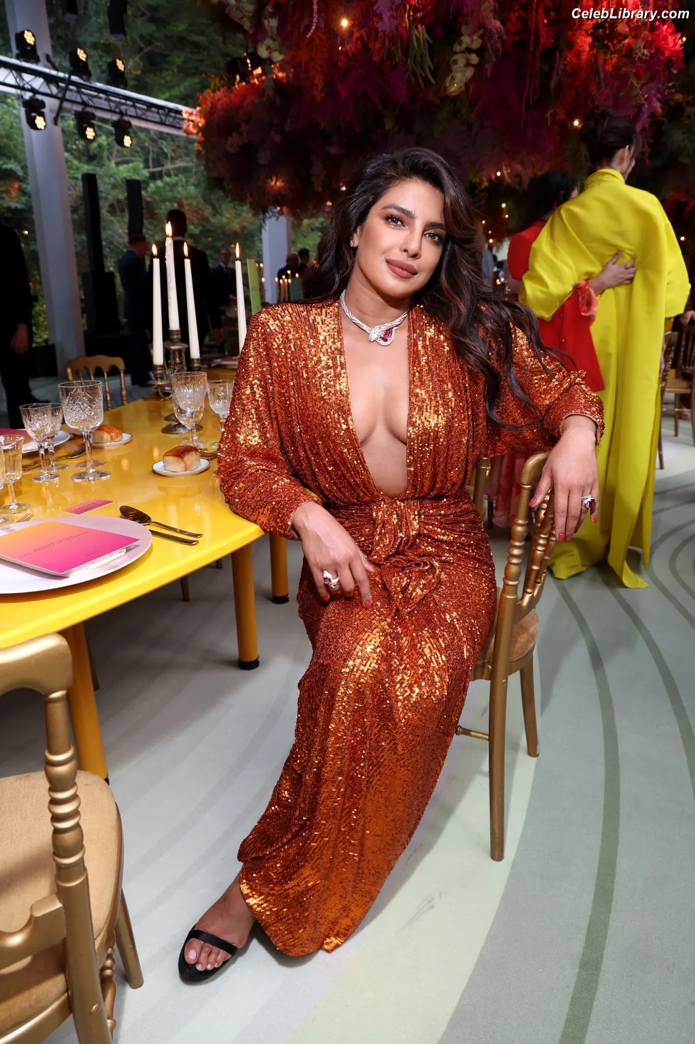 Priyanka Chopra photo 20 of 759