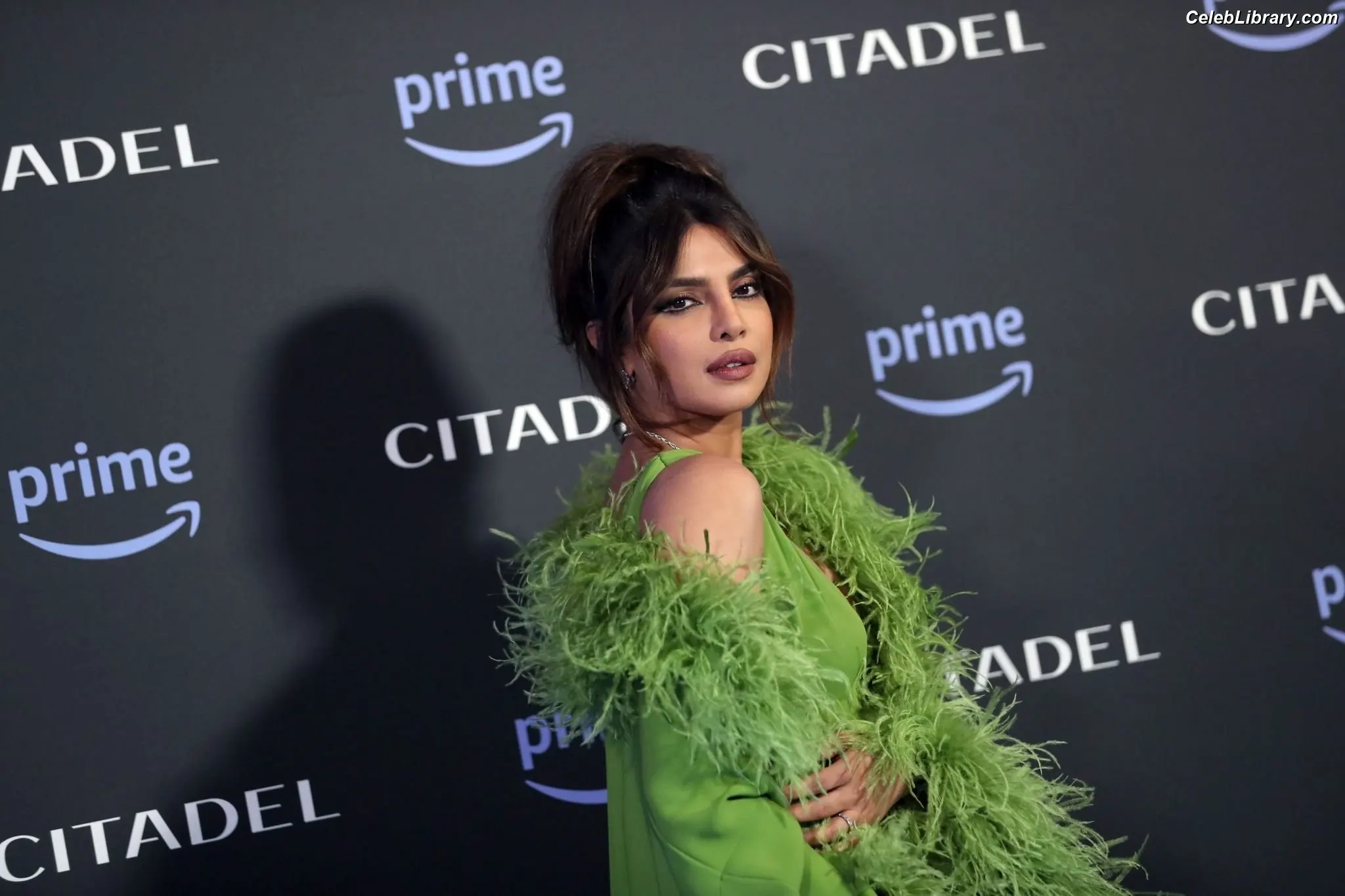 Priyanka Chopra photo 1 of 759