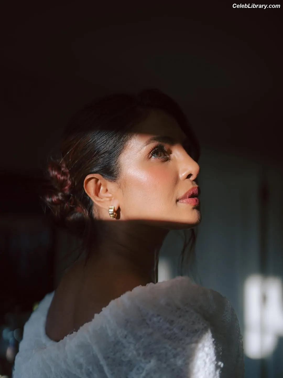 Priyanka Chopra photo 13 of 759