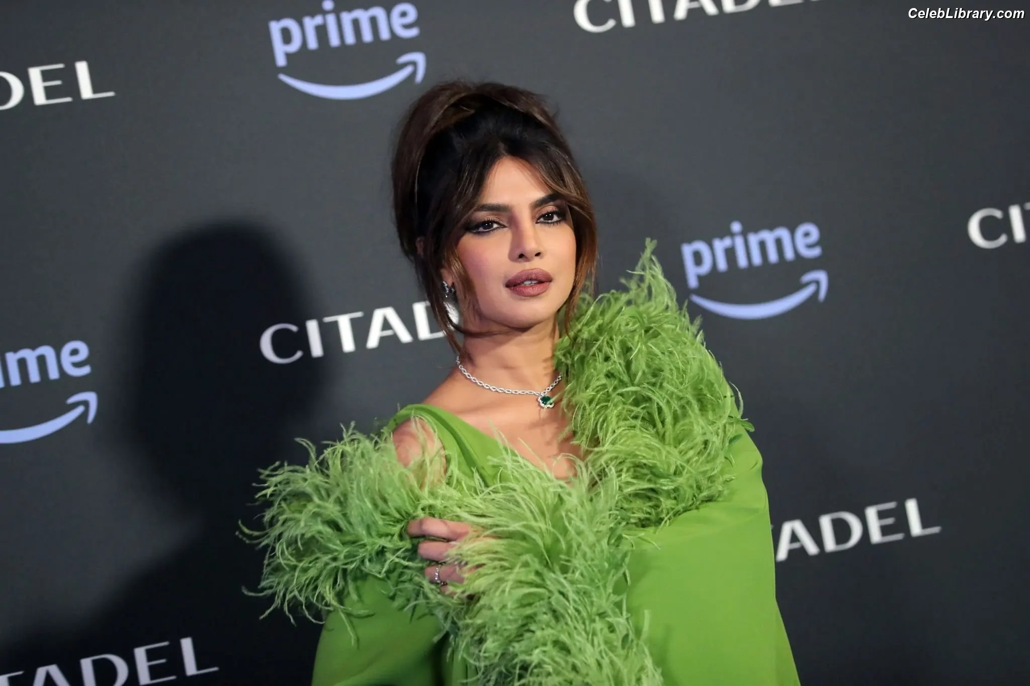 Priyanka Chopra photo 22 of 759