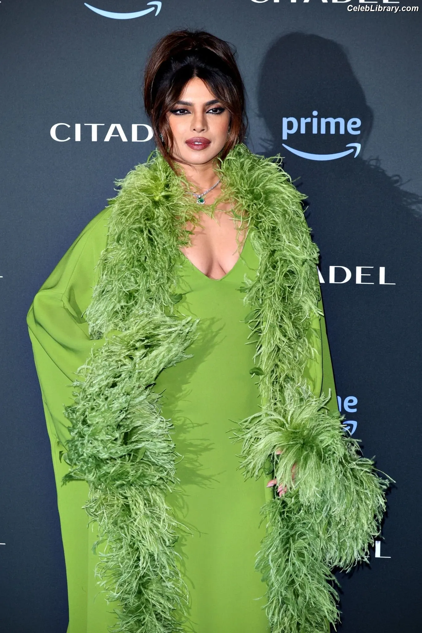 Priyanka Chopra photo 23 of 759