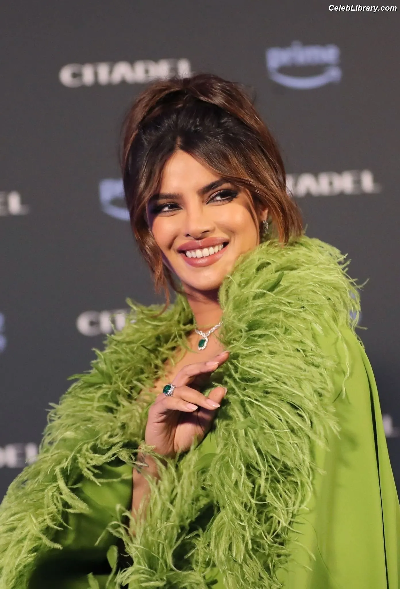 Priyanka Chopra photo 1 of 759