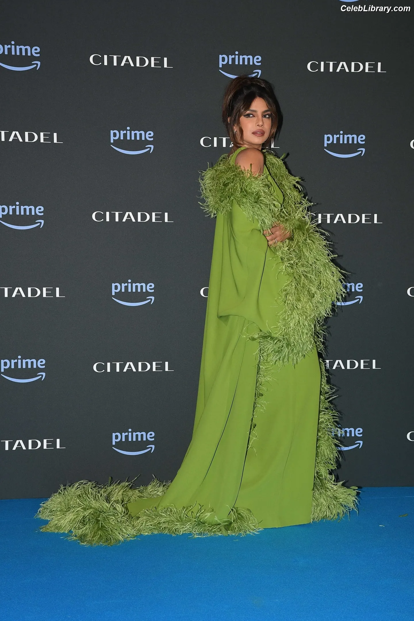 Priyanka Chopra photo 5 of 759