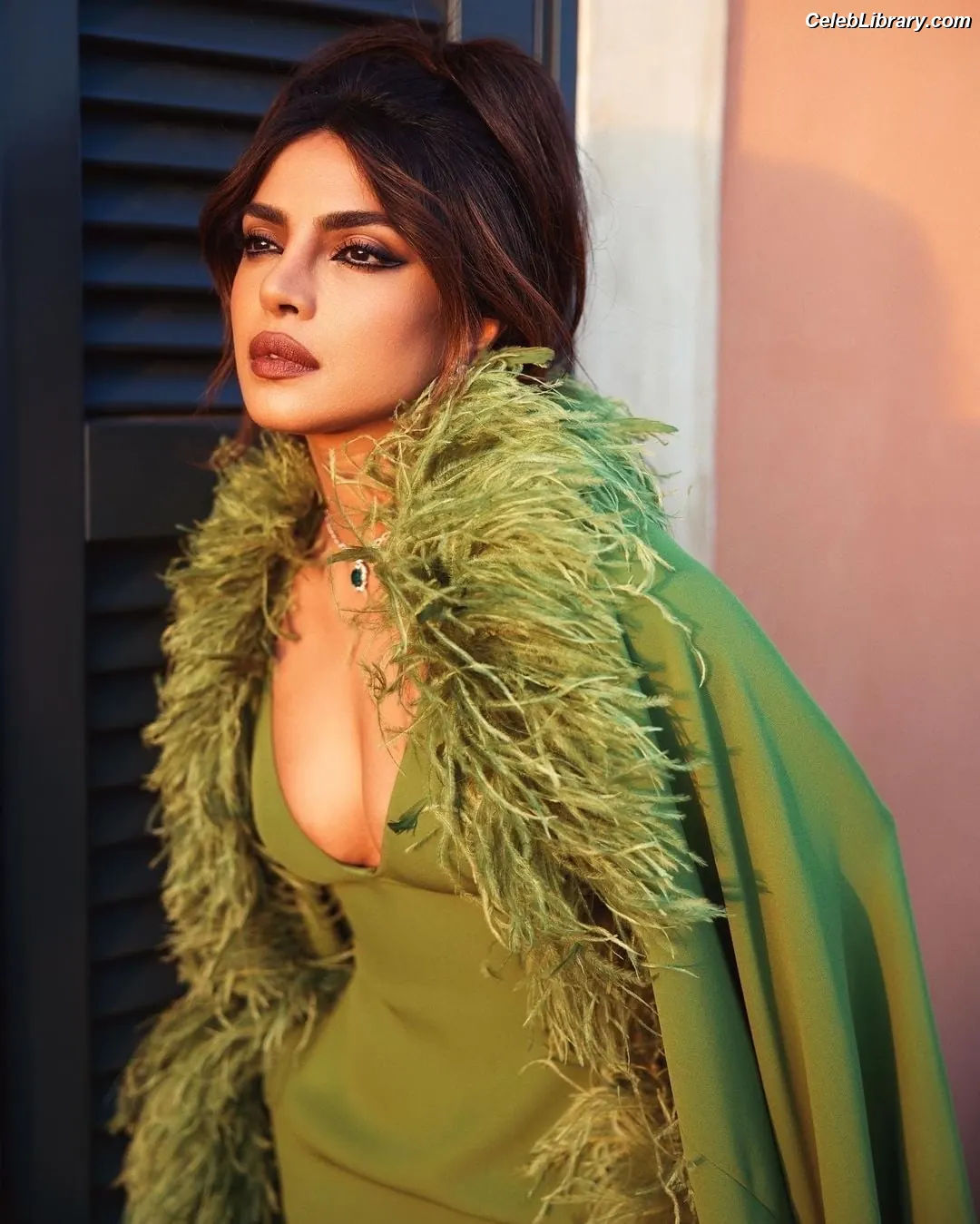 Priyanka Chopra photo 7 of 759