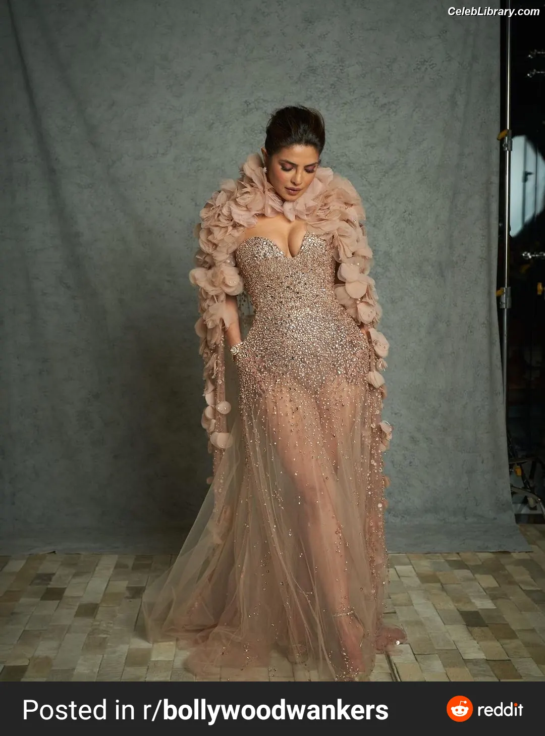 Priyanka Chopra photo 5 of 759