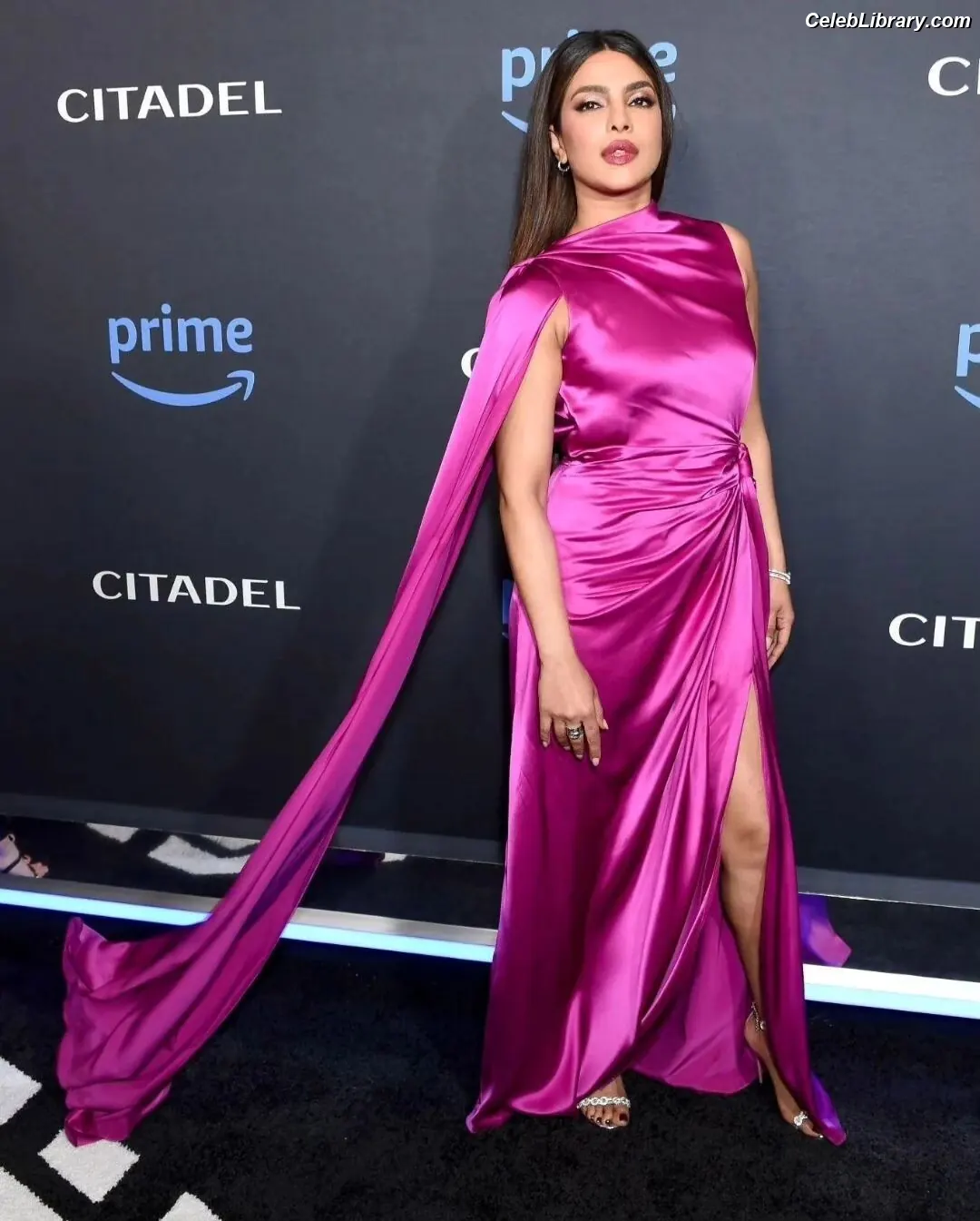 Priyanka Chopra photo 17 of 759