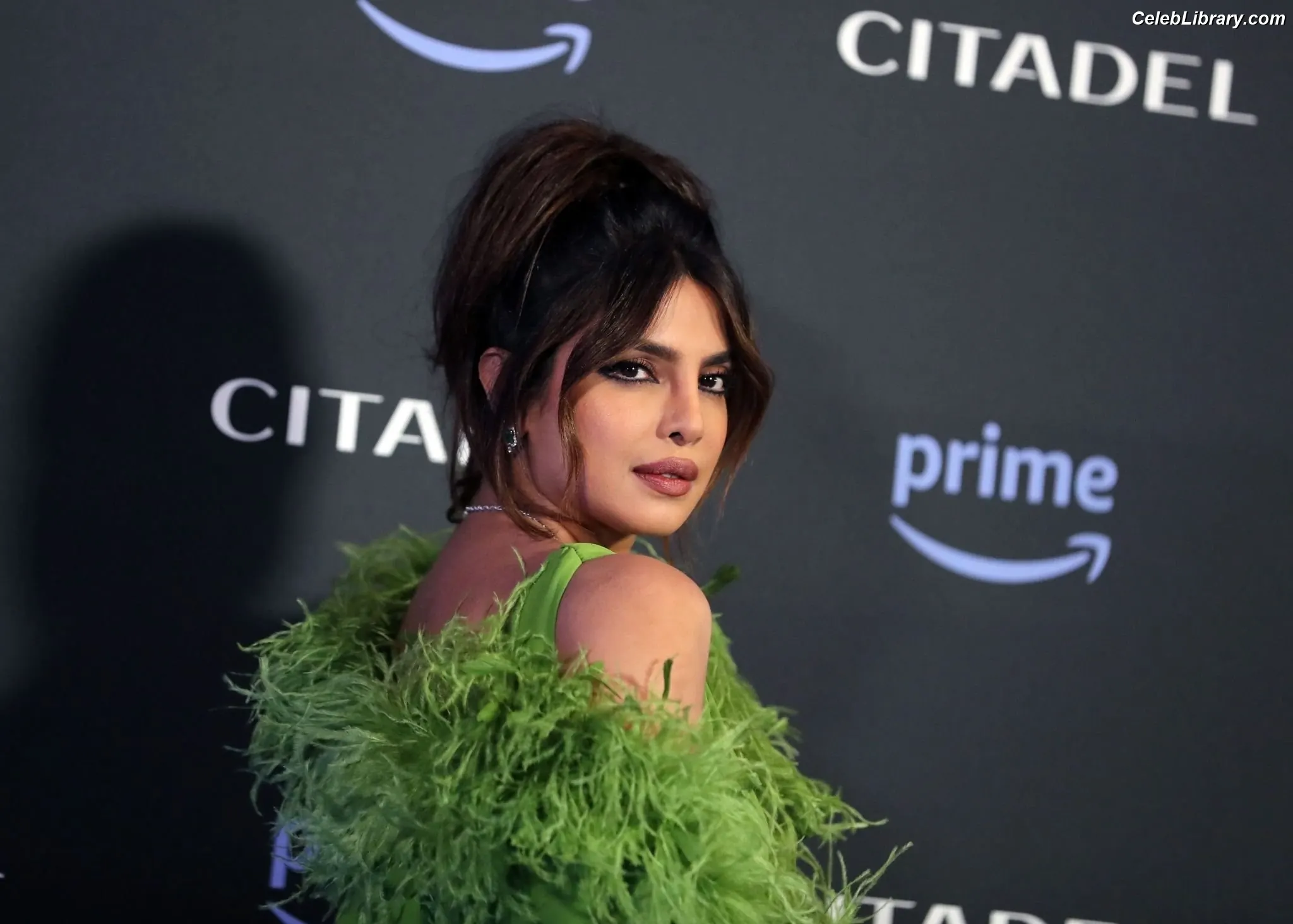 Priyanka Chopra photo 13 of 759
