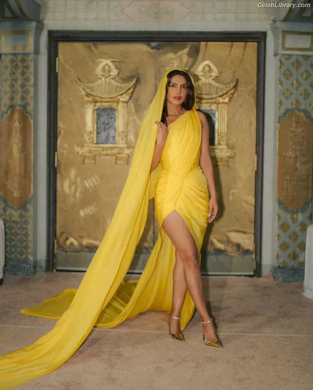 Priyanka Chopra photo 22 of 759