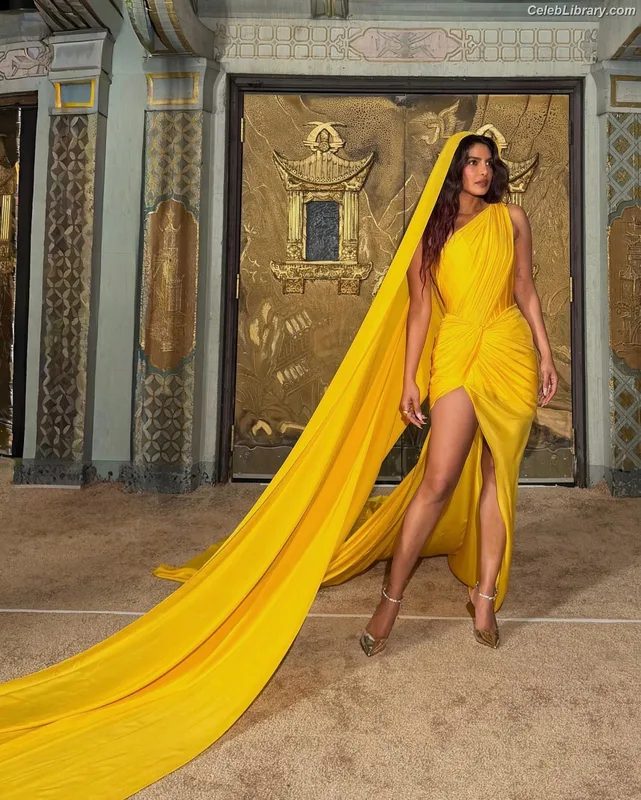 Priyanka Chopra photo 23 of 759