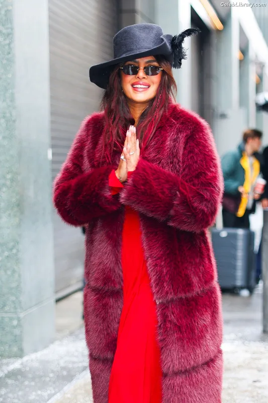 Priyanka Chopra photo 4 of 759