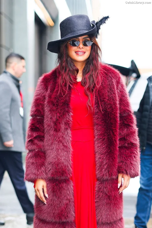 Priyanka Chopra photo 5 of 759