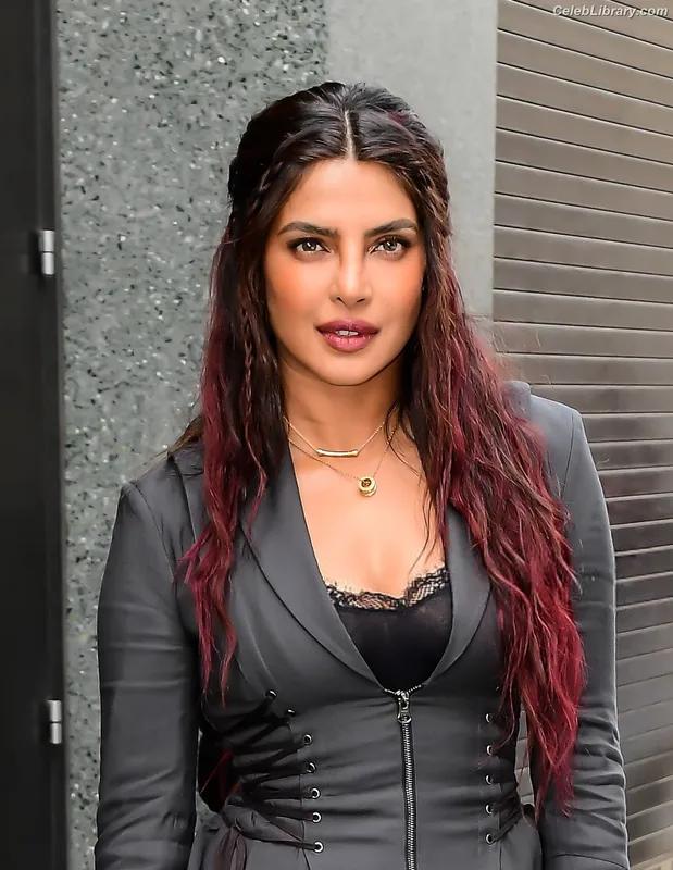 Priyanka Chopra photo 8 of 759