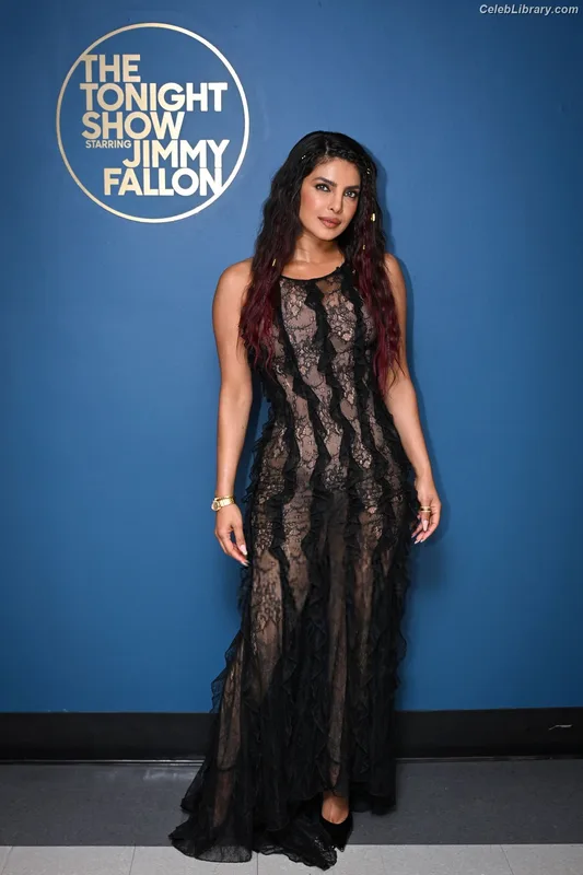 Priyanka Chopra photo 16 of 759