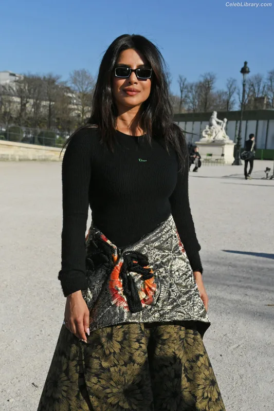 Priyanka Chopra photo 5 of 759