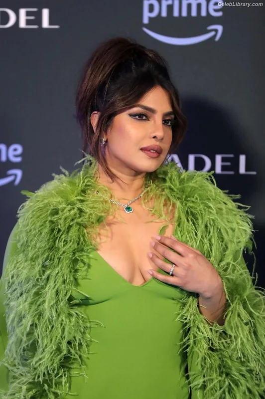Priyanka Chopra photo 24 of 759