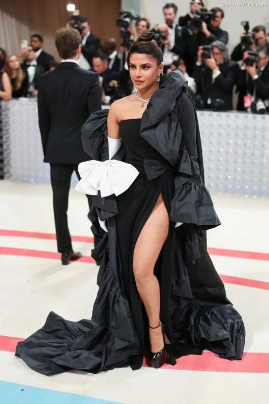 Priyanka Chopra photo 24 of 759