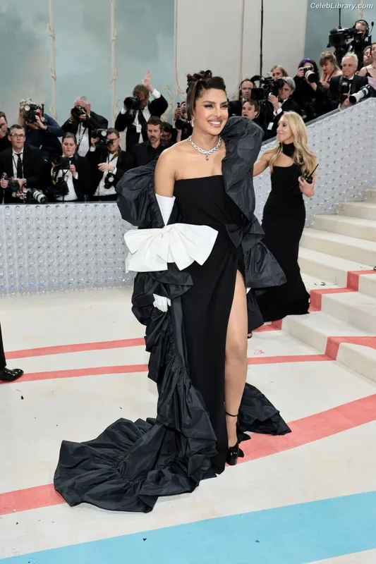 Priyanka Chopra photo 3 of 759