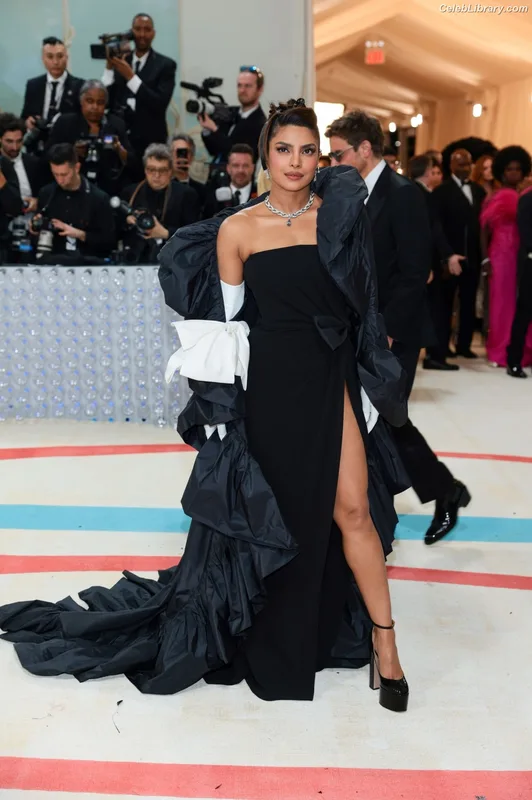 Priyanka Chopra photo 17 of 759