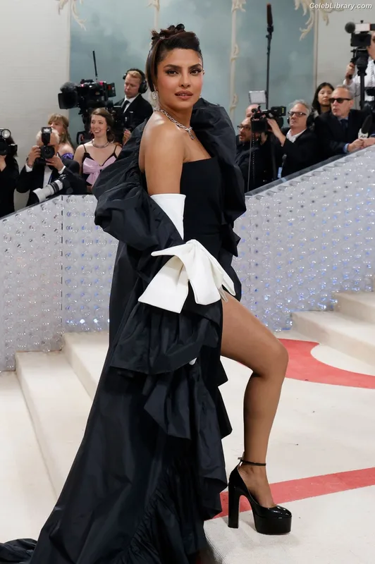 Priyanka Chopra photo 2 of 759