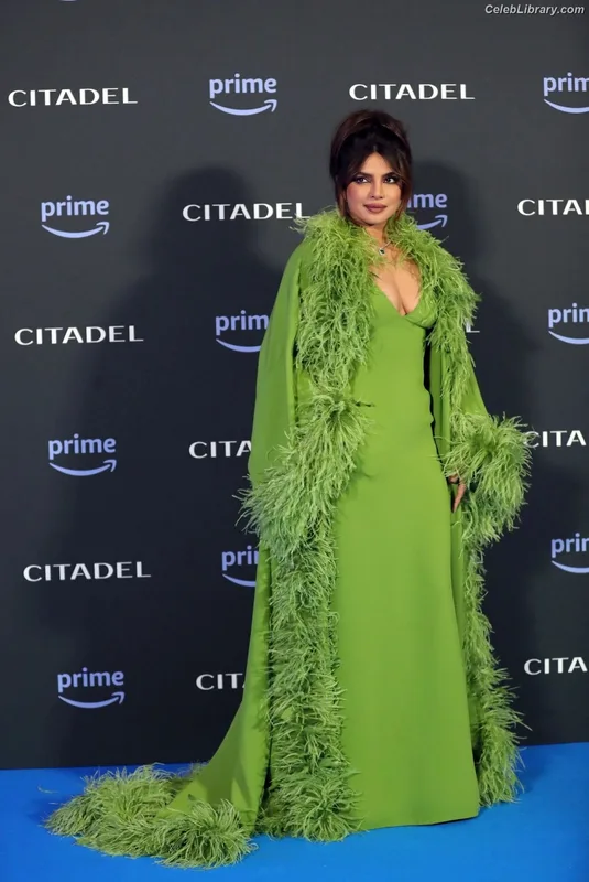 Priyanka Chopra photo 16 of 759