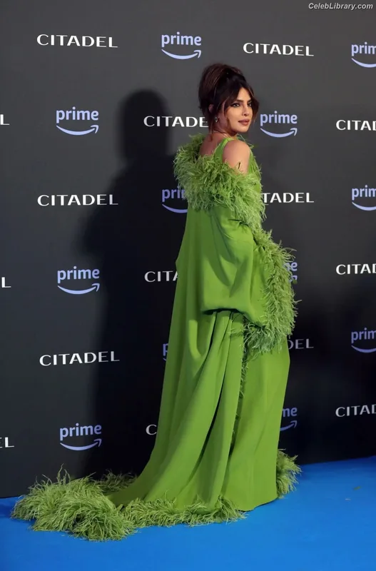 Priyanka Chopra photo 17 of 759