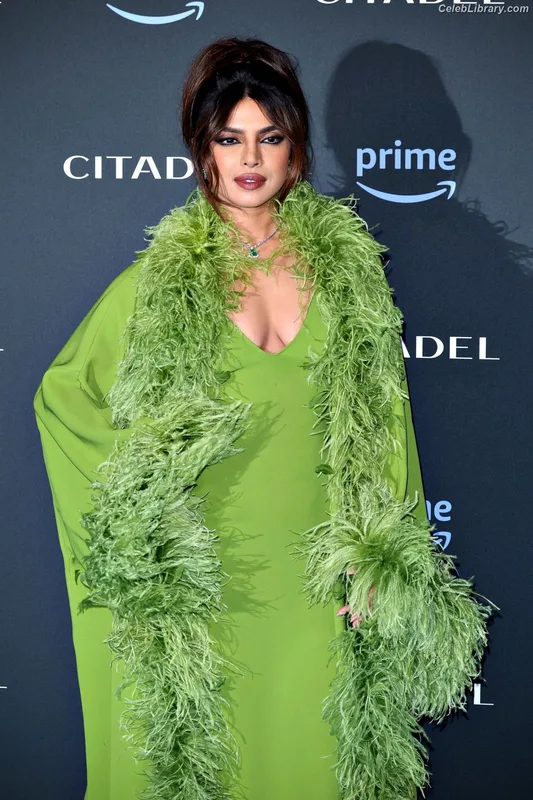 Priyanka Chopra photo 23 of 759