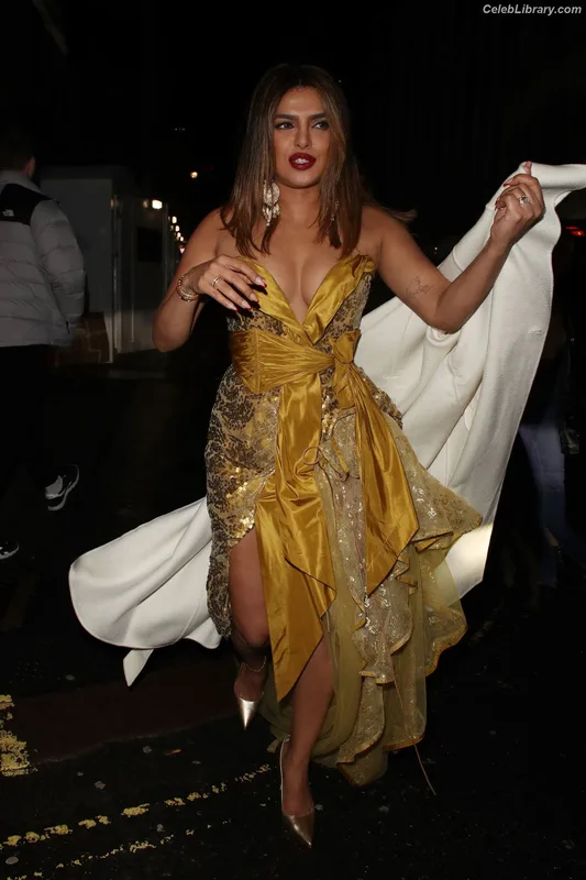 Priyanka Chopra photo 21 of 759