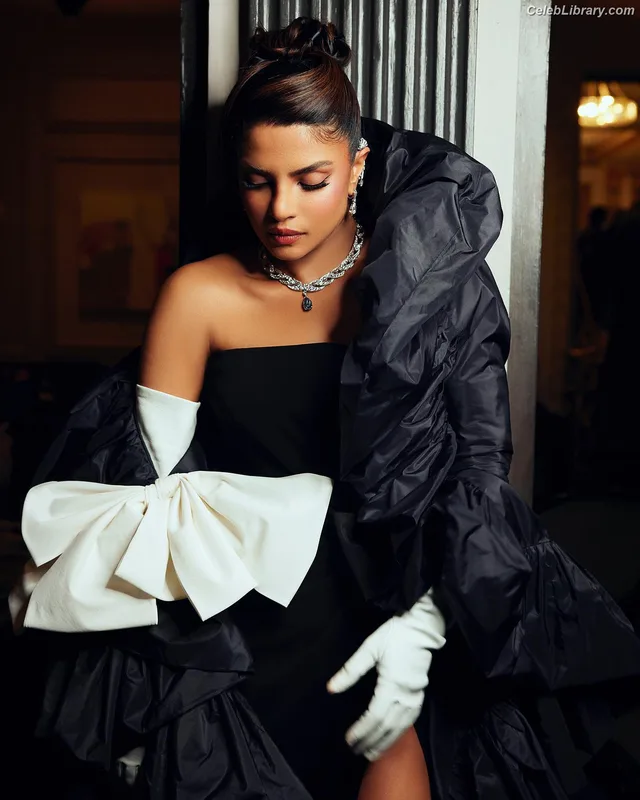 Priyanka Chopra photo 3 of 759